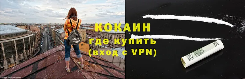 дарнет шоп  Пучеж  COCAIN VHQ 